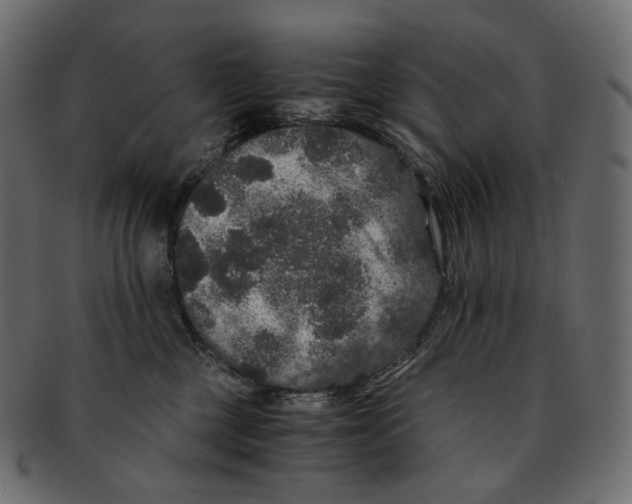 X0000091940377200710031122