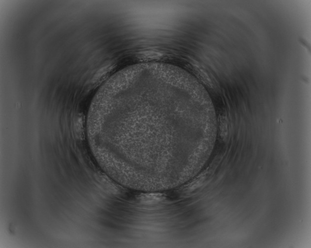 X0000091940378200710031122