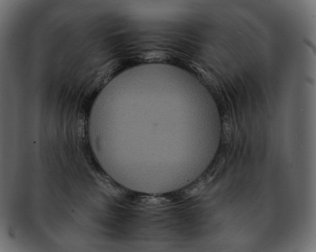 X0000091940379200710031122