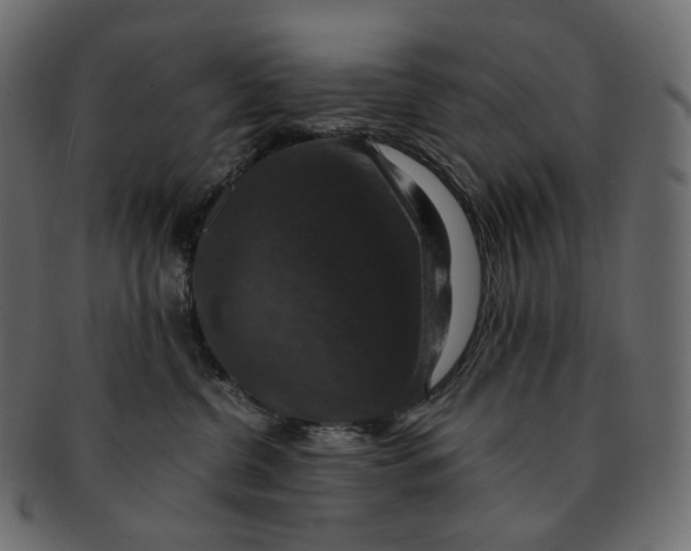 X0000091940380200710031122