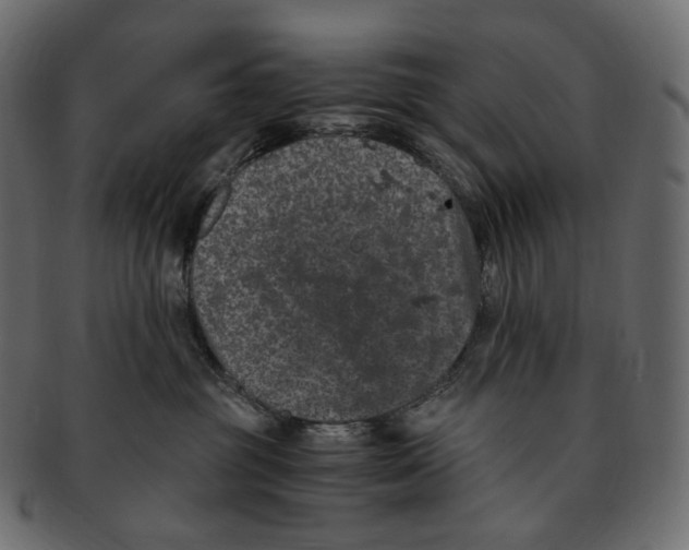 X0000091940381200710031122