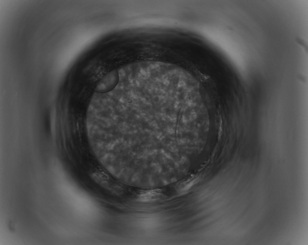 X0000091940382200710031122