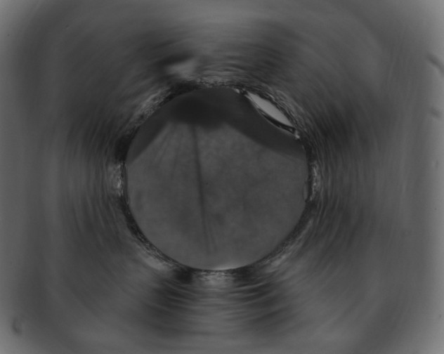 X0000091940383200710031122