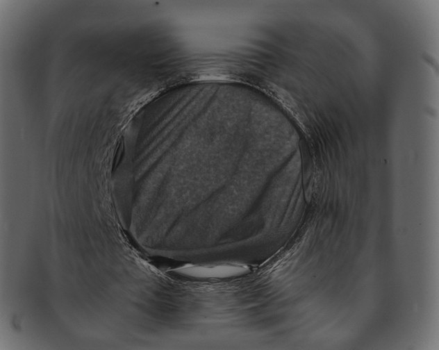 X0000091940385200710031121