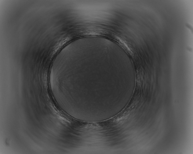 X0000091940386200710031121