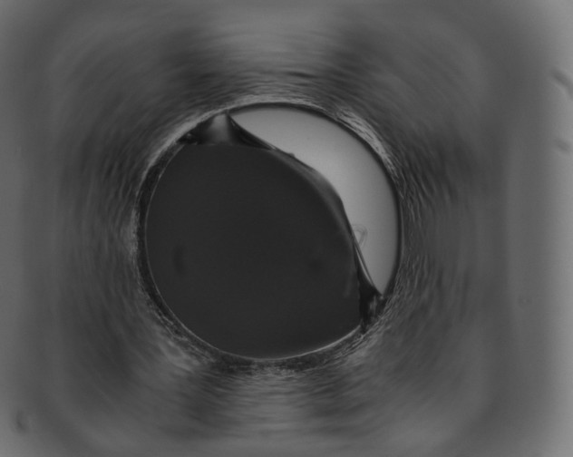 X0000091940387200710031121