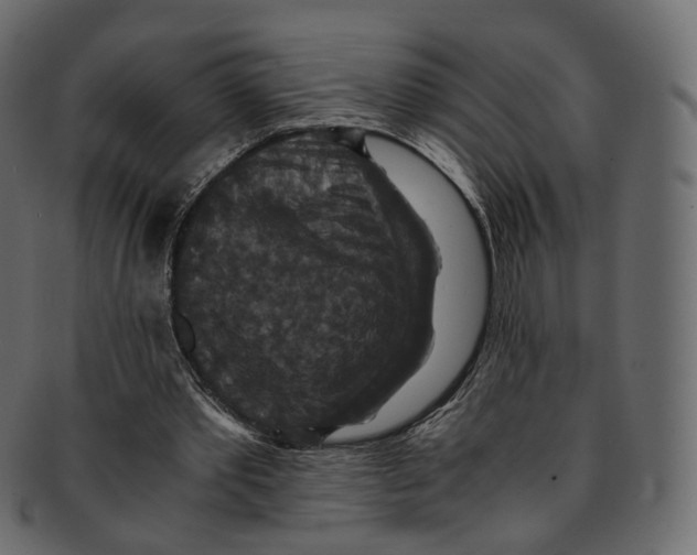 X0000091940389200710031121