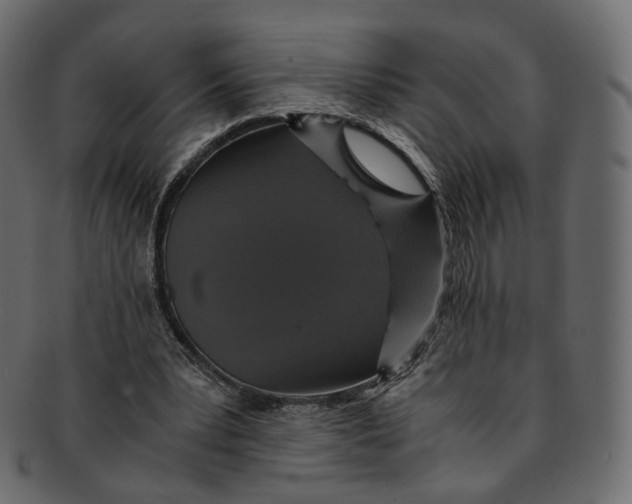 X0000091940391200710031121