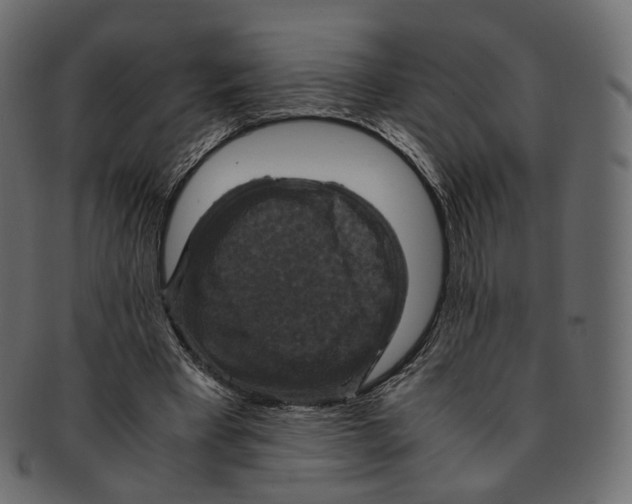 X0000091940393200710031121