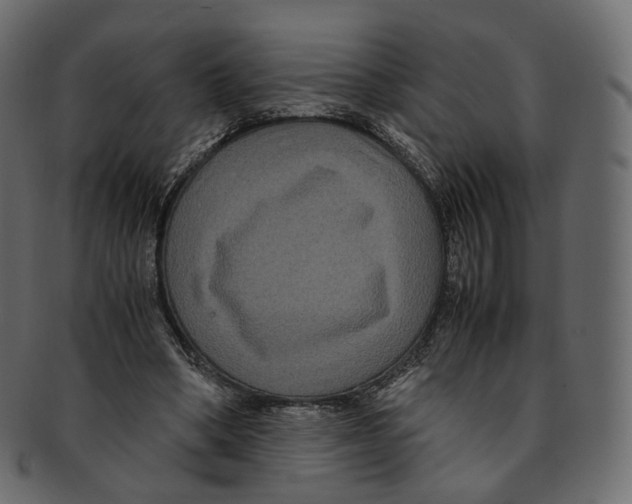 X0000091940394200710031121