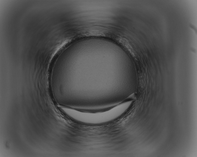 X0000091940395200710031121