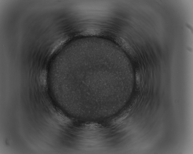 X0000091940396200710031121