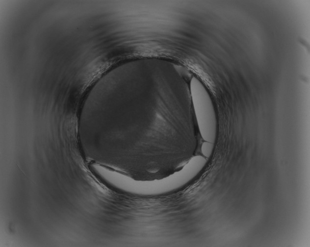 X0000091940397200710031121