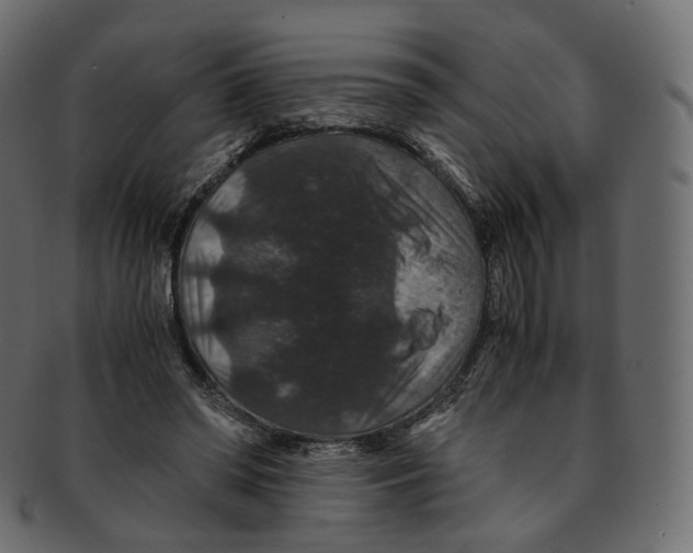 X0000091940398200710031121