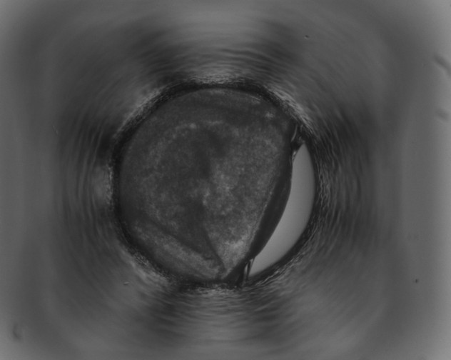 X0000091940400200710031121