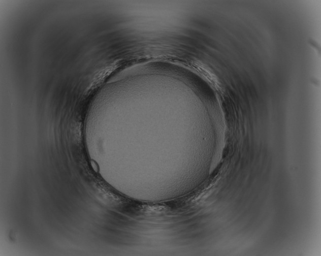 X0000091940401200710031121