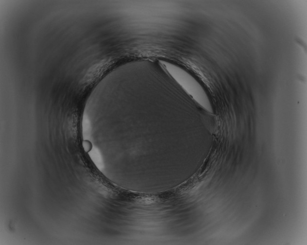 X0000091940402200710031121