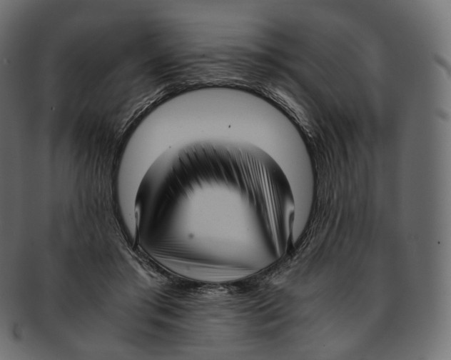 X0000091940405200710031121