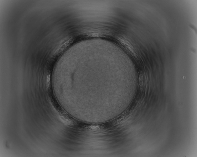 X0000091940406200710031121