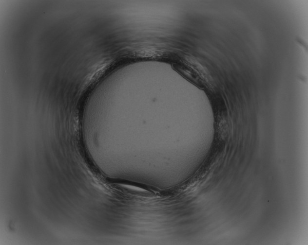 X0000091940407200710031121