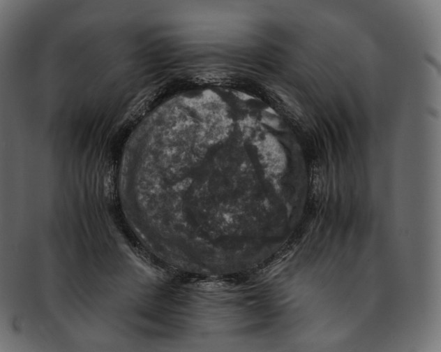 X0000091940408200710031121