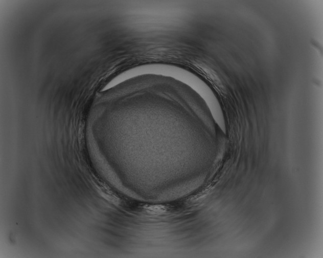 X0000091940409200710031121