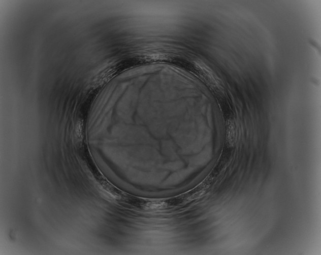 X0000091940410200710031121