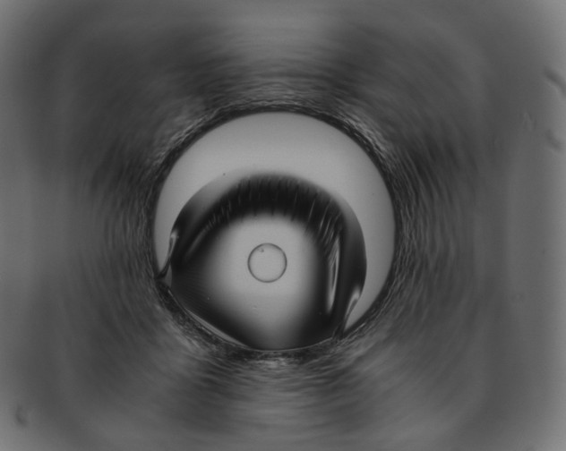 X0000091940411200710031121