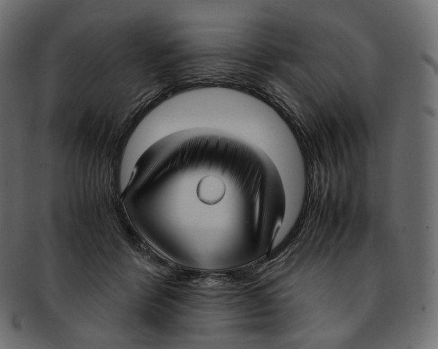 X0000091940412200710031121