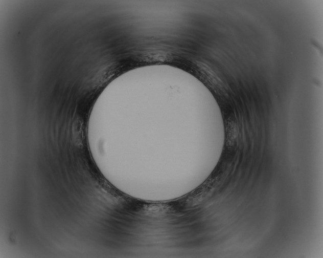 X0000091940414200710031121