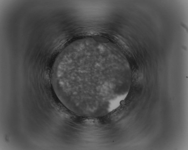 X0000091940415200710031121