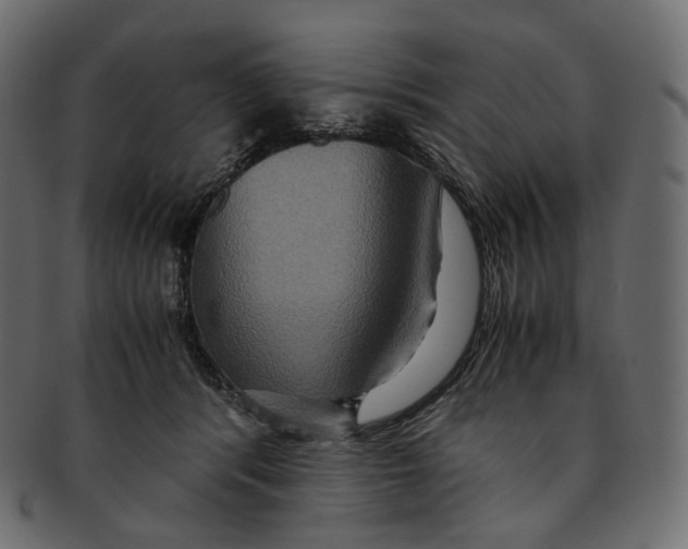 X0000091940416200710031121