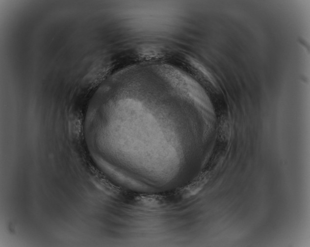 X0000091940417200710031121