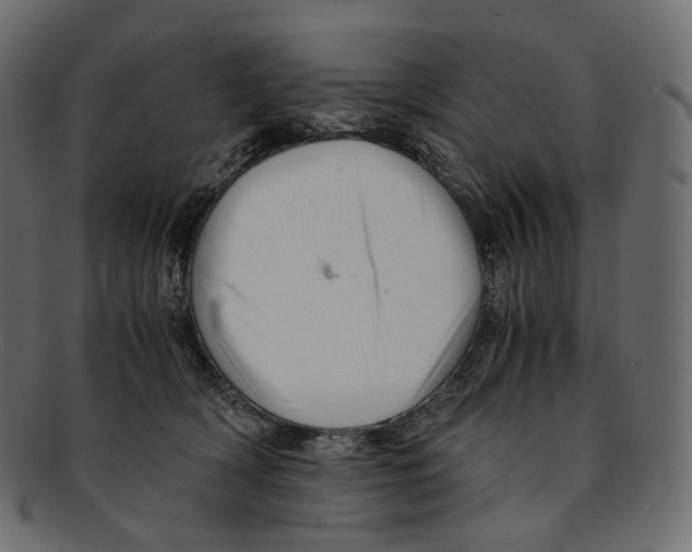 X0000091940418200710031121