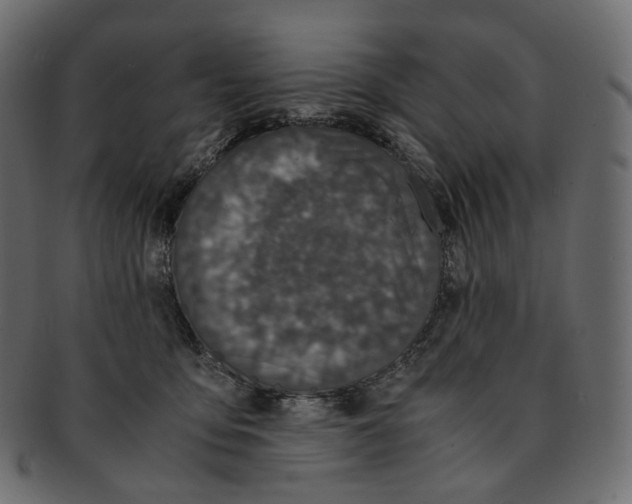 X0000091940419200710031121