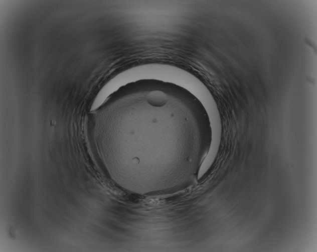 X0000091940421200710031121