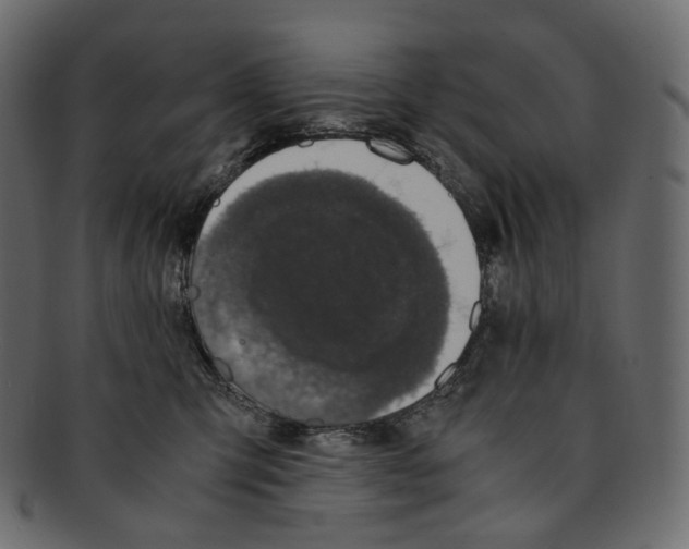 X0000091940423200710031121