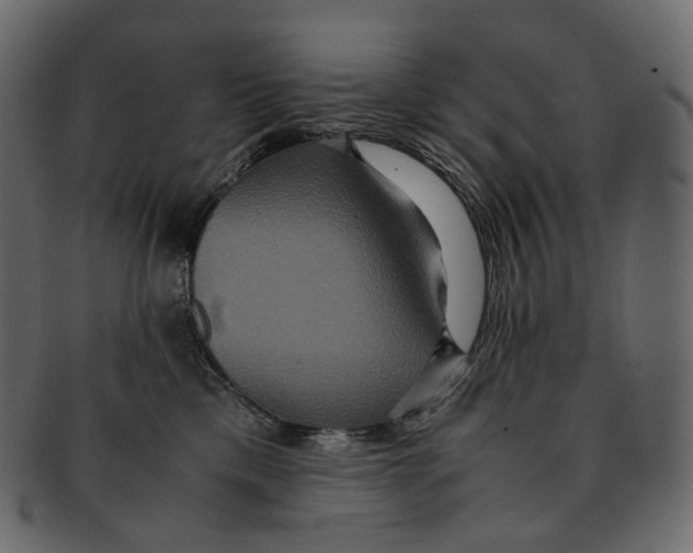 X0000091940425200710031121