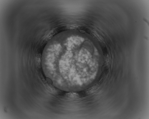 X0000091940427200710031121