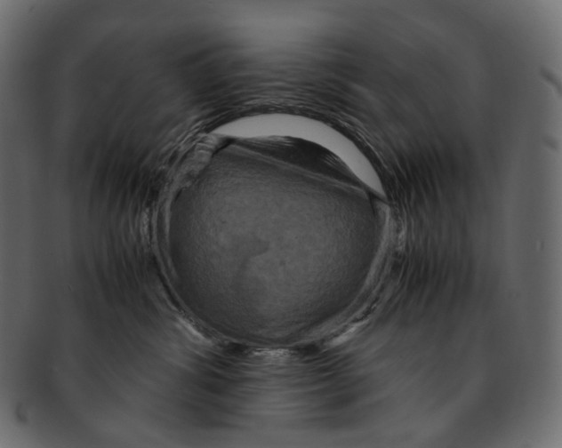 X0000091940428200710031121