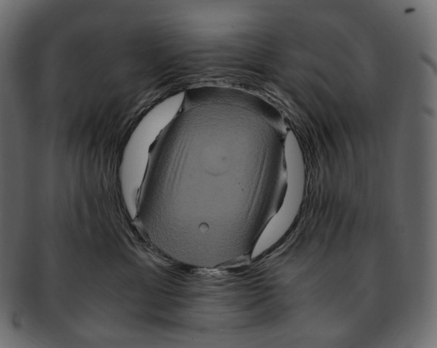 X0000091940429200710031121