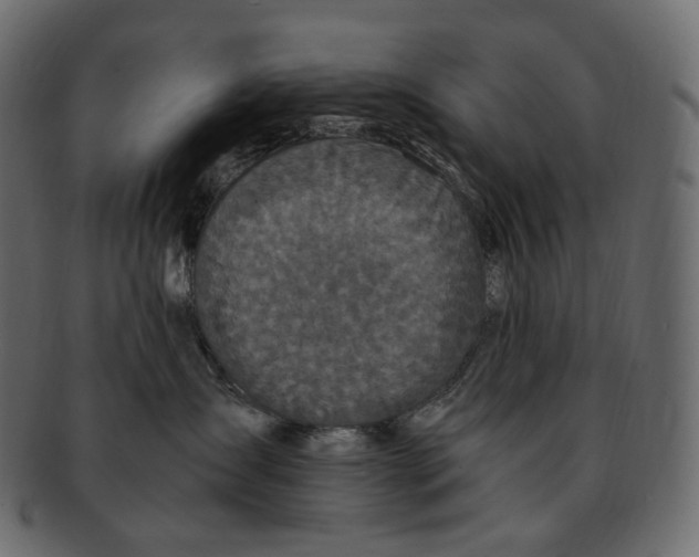 X0000091940431200710031121