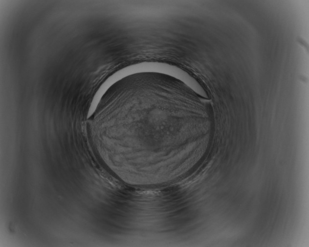 X0000091940432200710031121