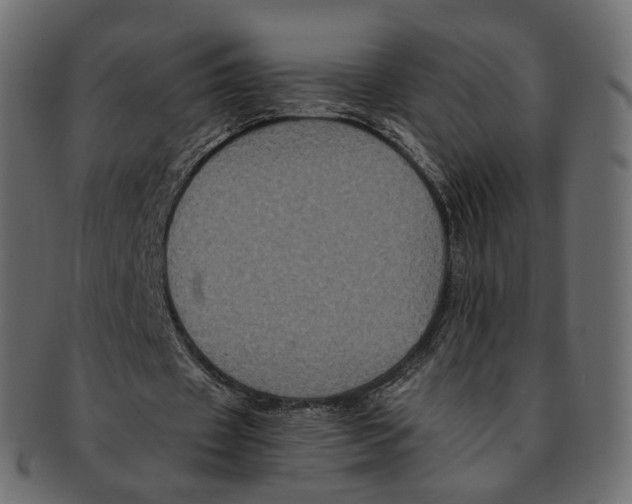 X0000091940433200710031120