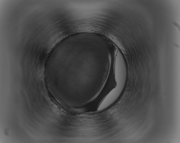 X0000091940434200710031120