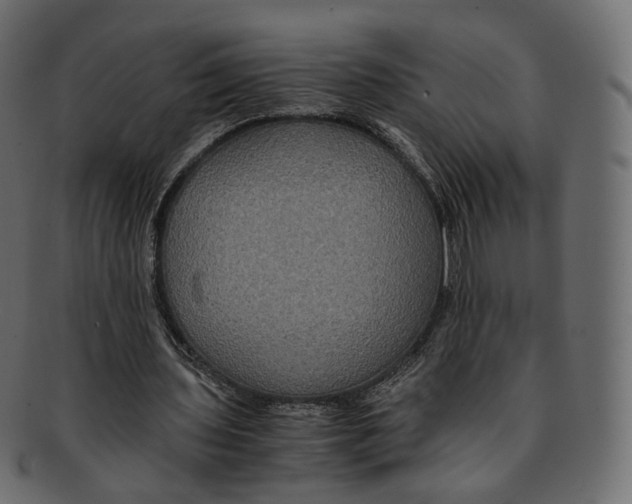 X0000091940435200710031120