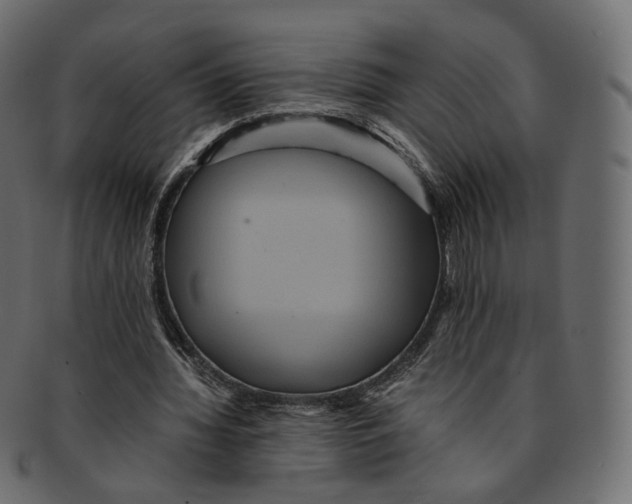 X0000091940436200710031120