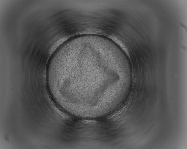 X0000091940437200710031120