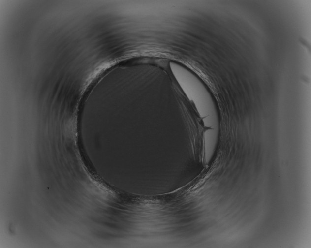 X0000091940438200710031120