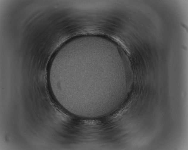 X0000091940439200710031120